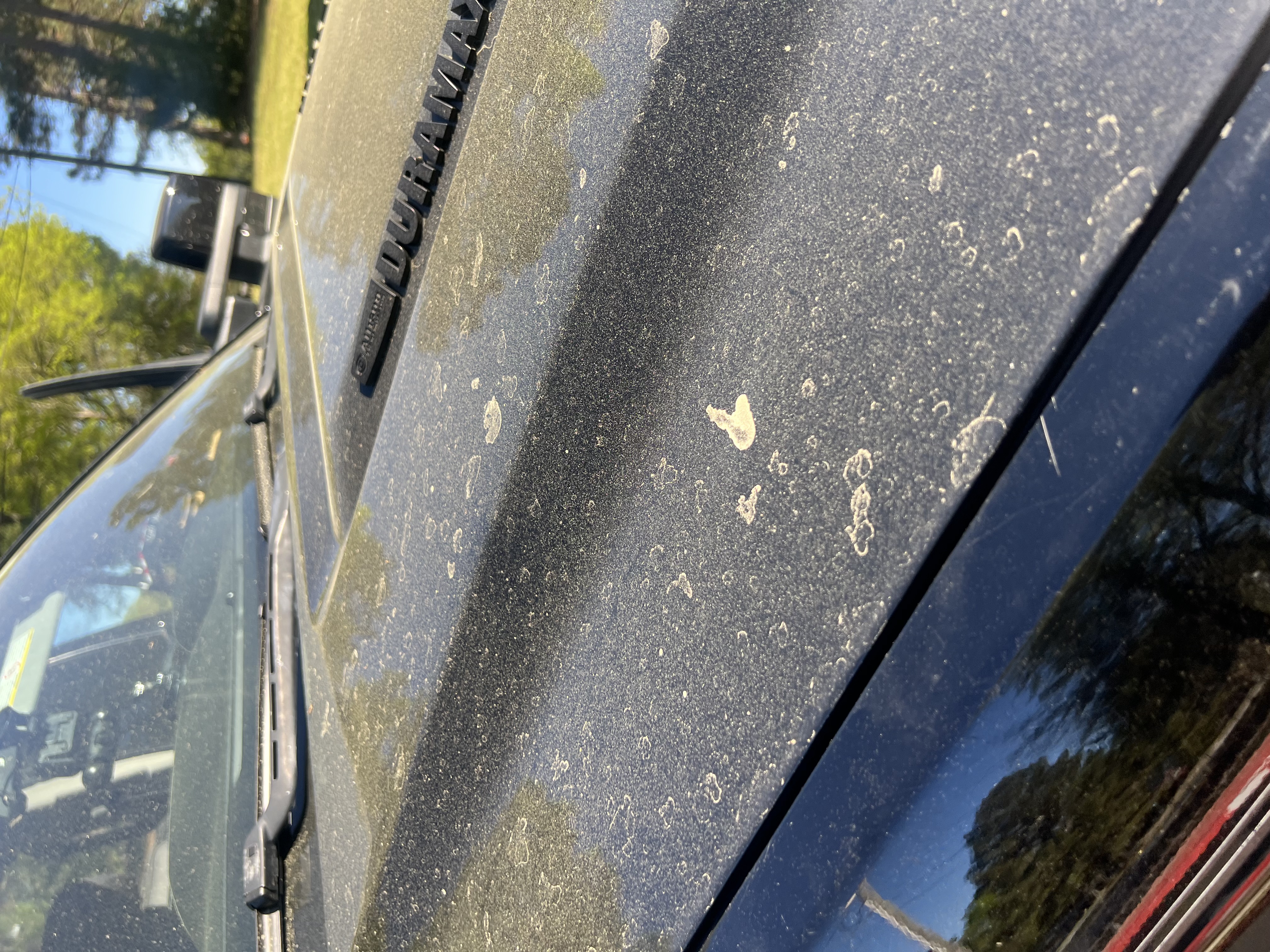 Before — water spots on Denali