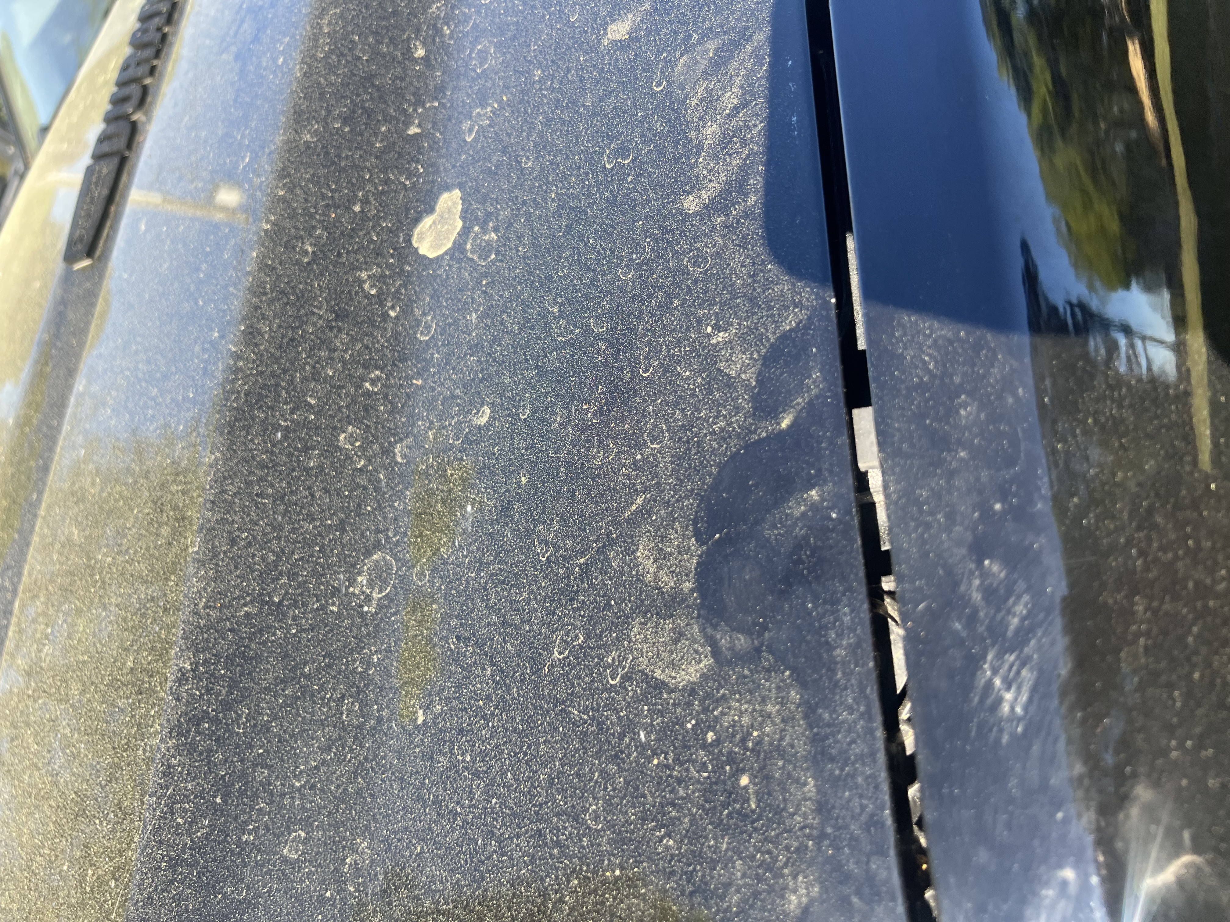 Hood before — pollen covered